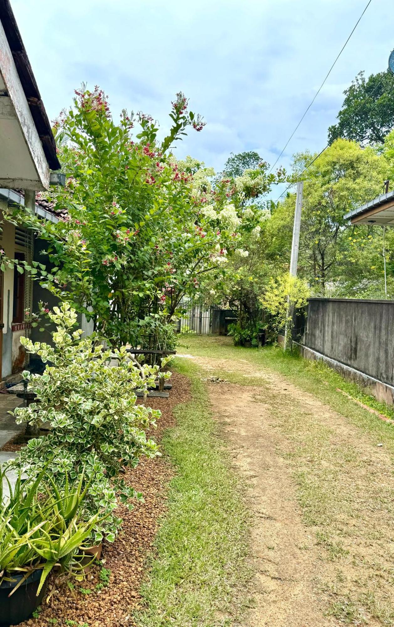 Dosemo Cabana Induruwa Exterior foto